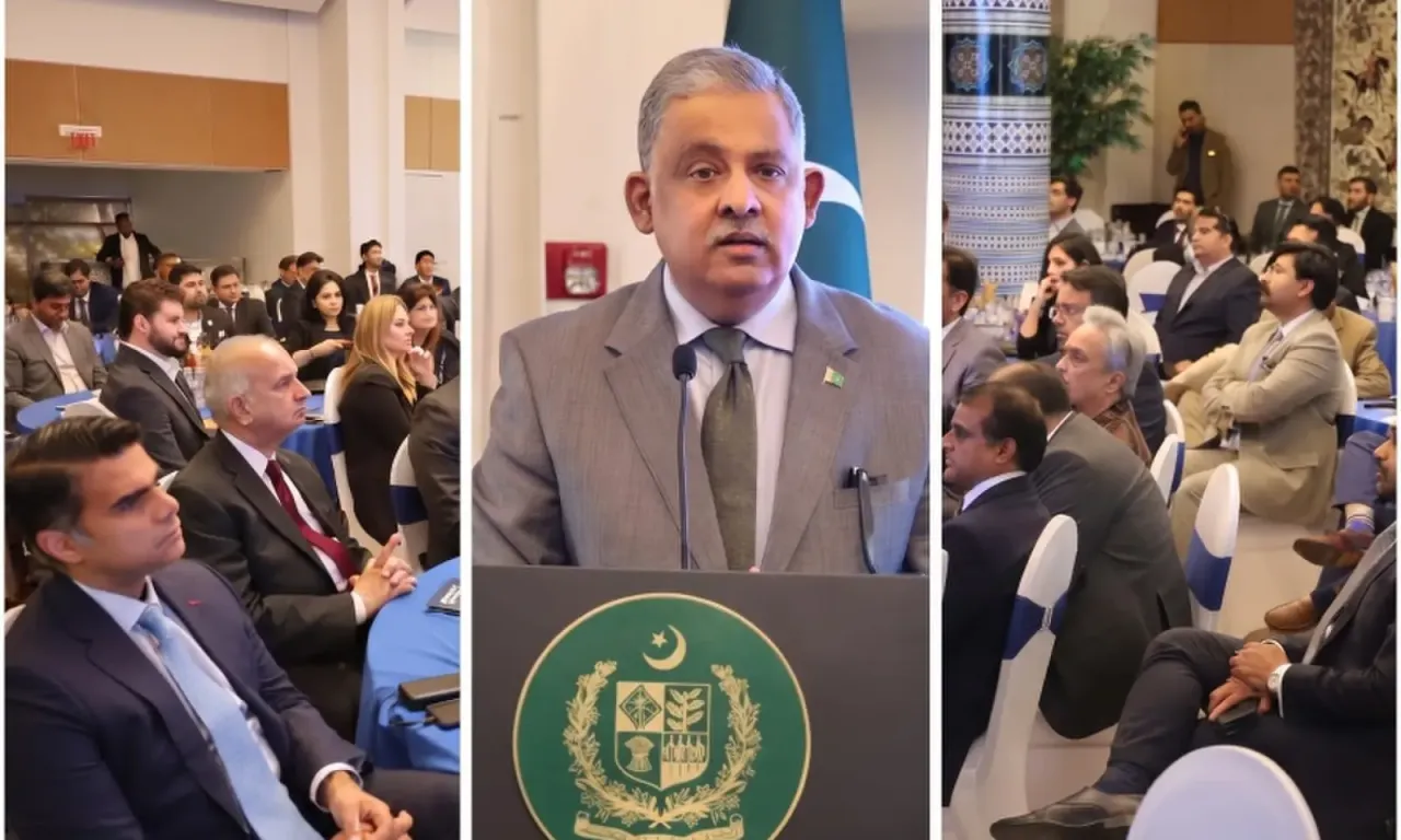 پاکستانی ٹیک کمپنیوں کی امریکی مارکیٹ میں کاروبار بڑھانے کی کوششیں