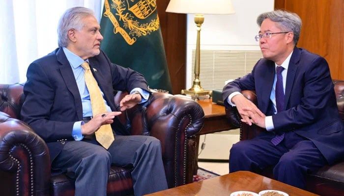 نائب وزیرا عظم اسحاق ڈار سے چینی سفیر کی ملاقات، سی پیک اور سرمایہ کاری پر گفتگو